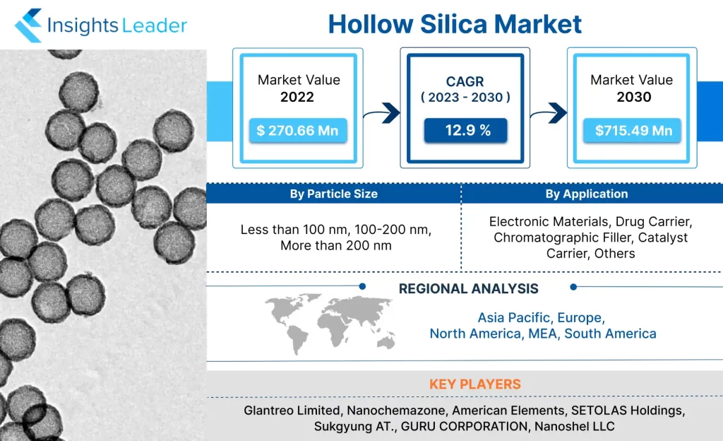 Hollow Silica Market